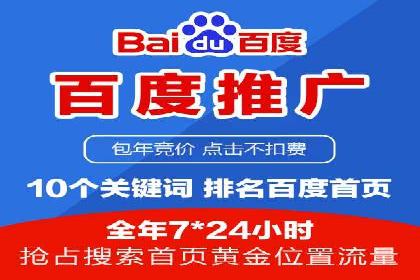 SEM搜索引擎优化成功案例，揭示优化策略与技巧
